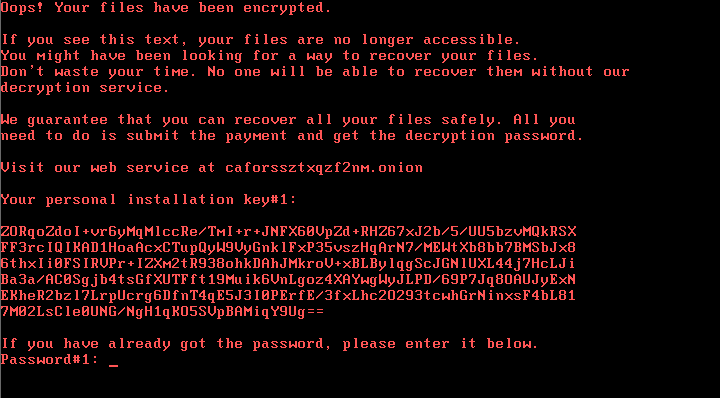 bad-rabbit-ransomware-message-7